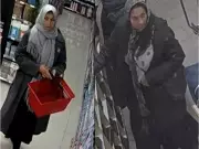 Ottawa Police Identify Two Suspects in West End High-Value Thefts, Seek Third