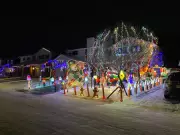 Ottawa's Taffy Lane Lights Up: Holiday Decor Tips from Experts