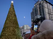 Ottawa's Tallest Christmas Tree Crowned in ByWard Market for 2025