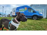 Pet Valu's Companions for Change Raises Over $4.3M for Canadian Animal Charities in 2025