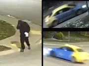 Police Seek Suspect in $105K Amherstburg Vehicle Arson, Taxi Link Eyed