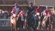 Racehorse Tests Positive for Meth, Trainer Suspended in New Mexico