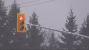 Stoplights Finally Installed at Dangerous Elgin County Intersection After 35+ Crashes