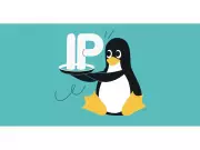 Surfshark Adds Dedicated IP to Linux App, Boosting User Control