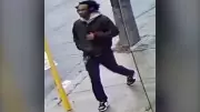 Toronto Police Seek Suspect in Dufferin-Castlefield Stabbing, Man Injured