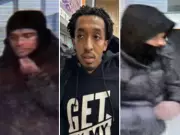 Toronto Police Seek Trio After Gun Pulled in Downtown Skate Theft Attempt