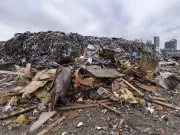 Vancouver Port Left with Massive Waste Pile After Tenant's Lease Termination