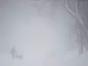 Weather Warnings Blanket Canada: Every Province Outside Atlantic Region on Alert