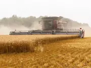 Wheat Prices Surge for Fifth Day on Black Sea War Risks and U.S. Weather Threats