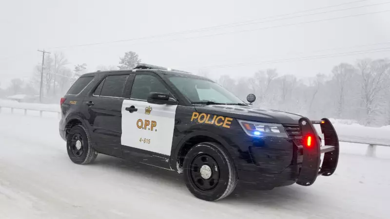 20-Year-Old Dies in Corunna Crash: OPP Investigates Fatal Collision