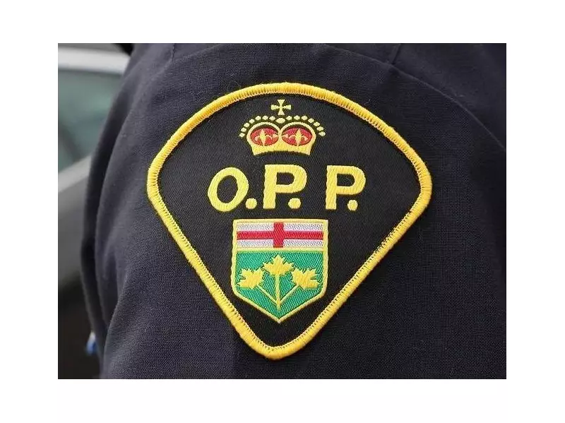 22-Year-Old Pedestrian Killed in Hwy. 401 Collision in Cramahe Township