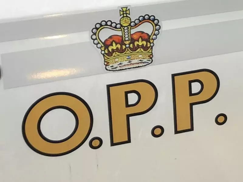 25-Year-Old Carleton Place Man Charged with Sexual Assault, Assault in IPV Case