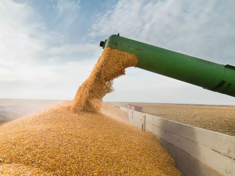 Activist Investor Plantro Demands Board Overhaul at Ag Growth International