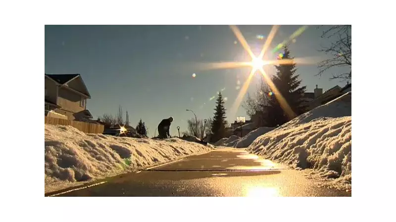 Alberta Endures Record-Setting Heat in January 2026