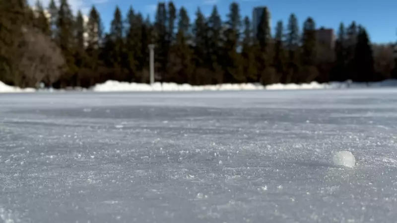 Alberta Shatters Dozens of Temperature Records on January 15, 2026