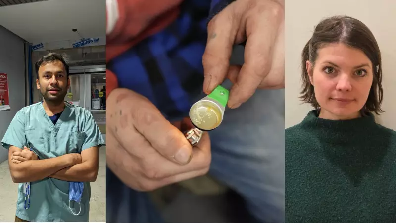 Animal Tranquilizers Surge in Toronto's Street Drugs, Raising Alarm Among Health Experts