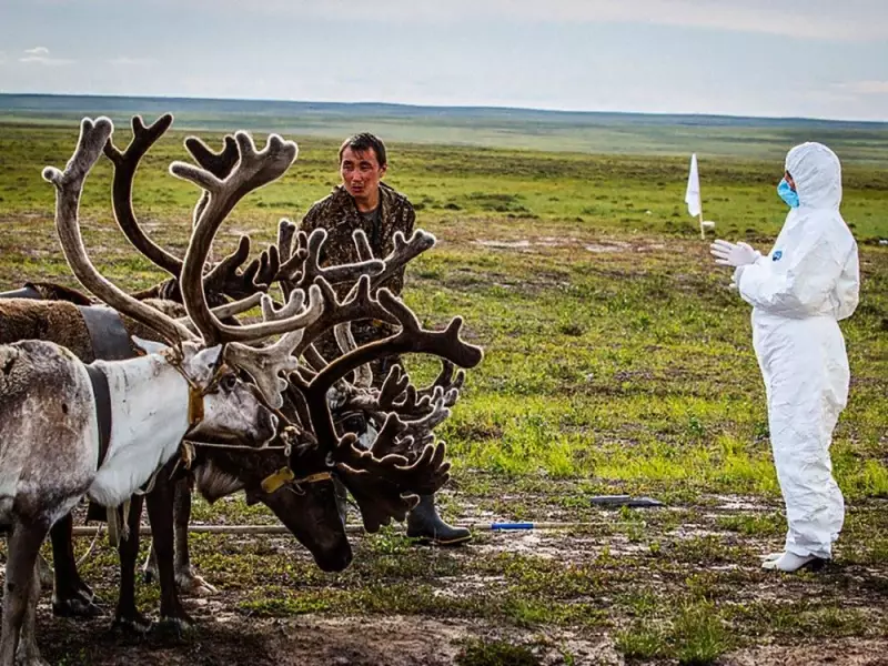 Anthrax: From Ancient Disease to Modern Bioweapon - A Canadian Perspective