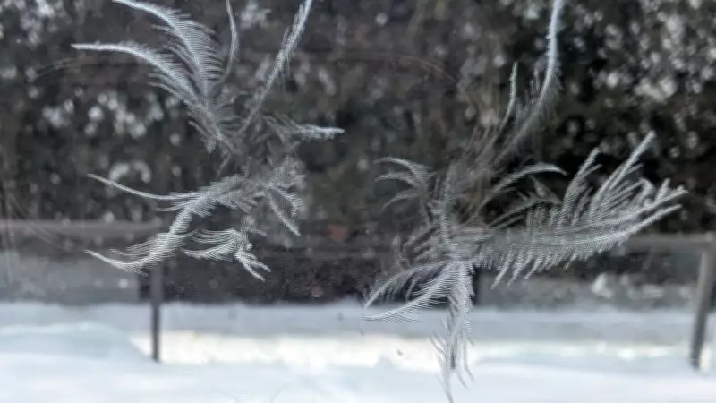 Arctic Air Mass Maintains Frigid Grip on Windsor-Essex Region