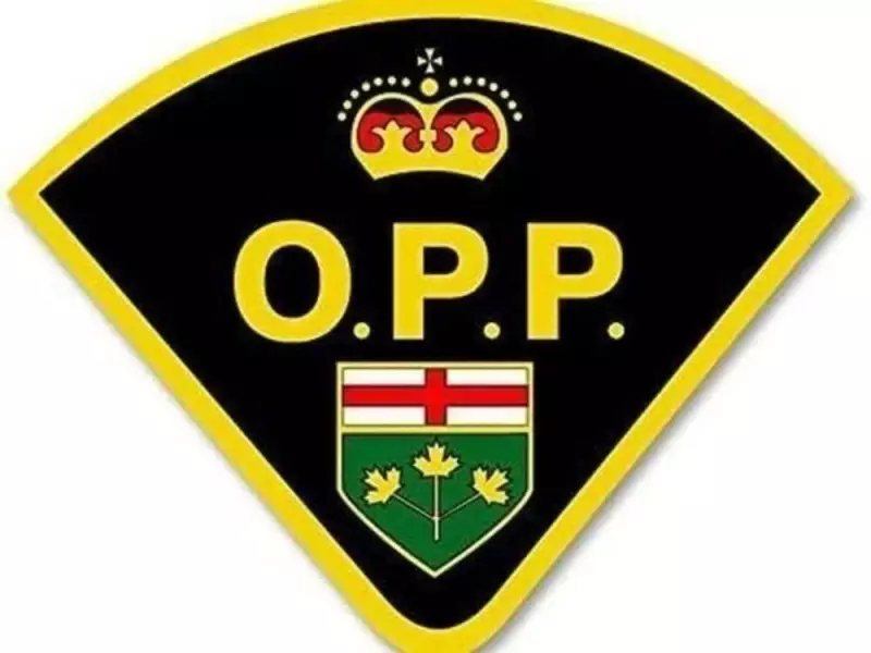 Armed Robbery and Vehicle Arson in Rural Kingsville: OPP Investigates