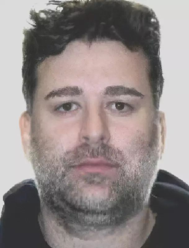 Bail Hearing Continues for Ontario Man Accused in Ryan Wedding Case