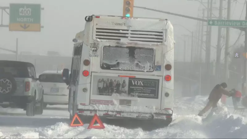 Barrie Braces for Up to 20 cm of Snow, Whiteouts: Environment Canada