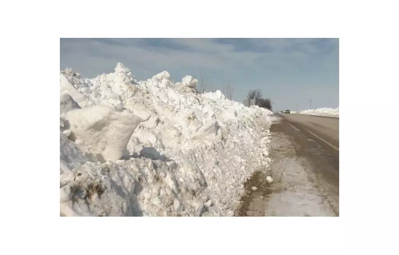 Barrie Man, 21, Faces Impaired Driving Charge Following Highway 118 Snowbank Crash