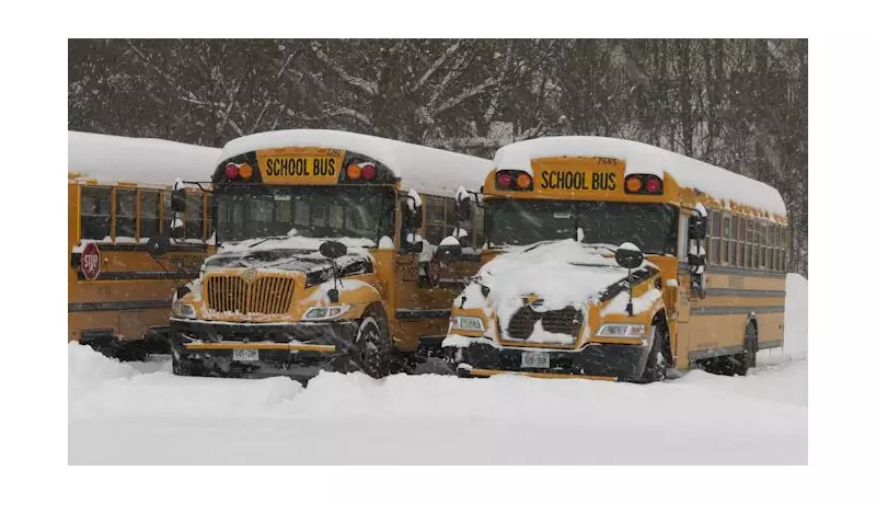 Barrie School Bus Cancellations and Closures Announced for Friday, January 23
