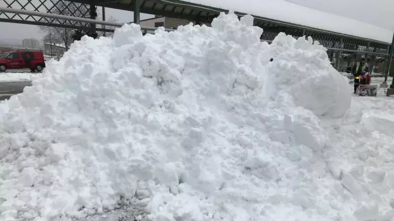 Barrie Urges Residents: Build Snowmen, Not Road Hazards During Winter Squalls