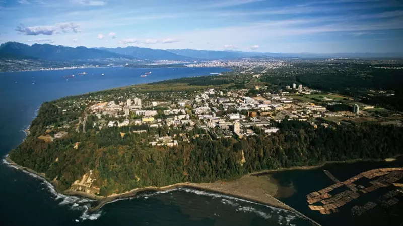 B.C. Court Questions Bankrupt Man's 'Extravagant Lifestyle' Amid Undisclosed Income