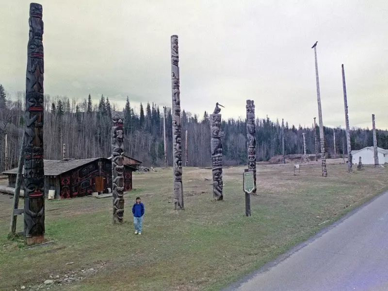 B.C. Court Rejects Province's 'Deep Consultation' Claim in First Nations Forestry Case