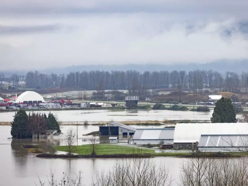 B.C. Floods Expose Gap: Why Canada's Climate Plans Must Protect Farm Animals