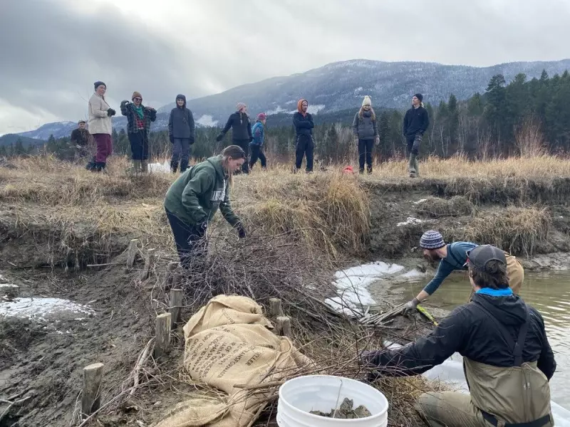 B.C. Must Accelerate Clean Energy Transition, Empower Communities: Expert