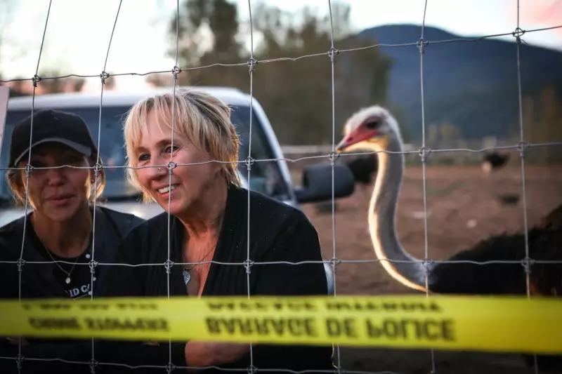 B.C. Ostrich Farm Fined $10K for Failing to Report Sick Birds, Tribunal Upholds Penalty