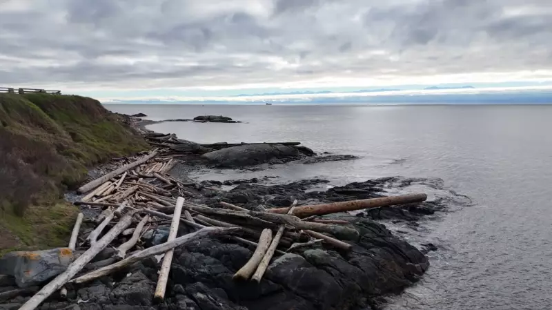 B.C. Recreational Fishing Community Voices Concern Over Potential DFO Salmon Policy Changes