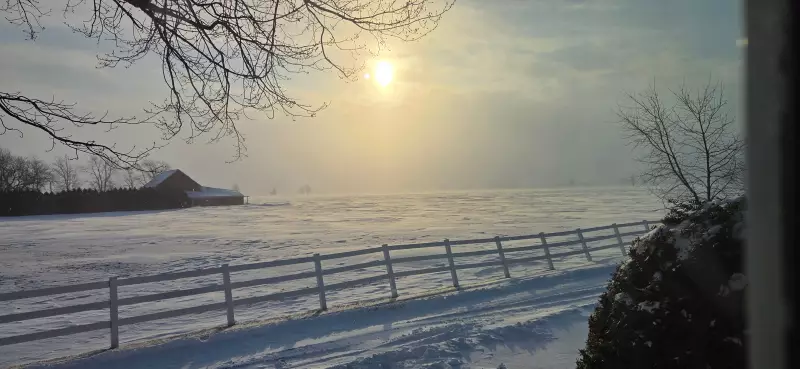 Bitter Cold and Blowing Snow Forecast to Grip Windsor-Essex Region