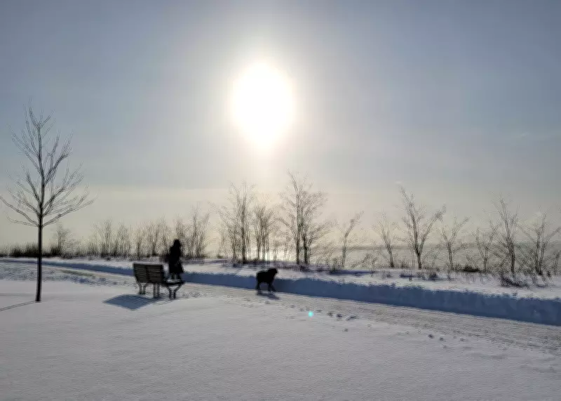 Bitter Cold Warning Grips Windsor as Wind Chill Plunges Below –30°C