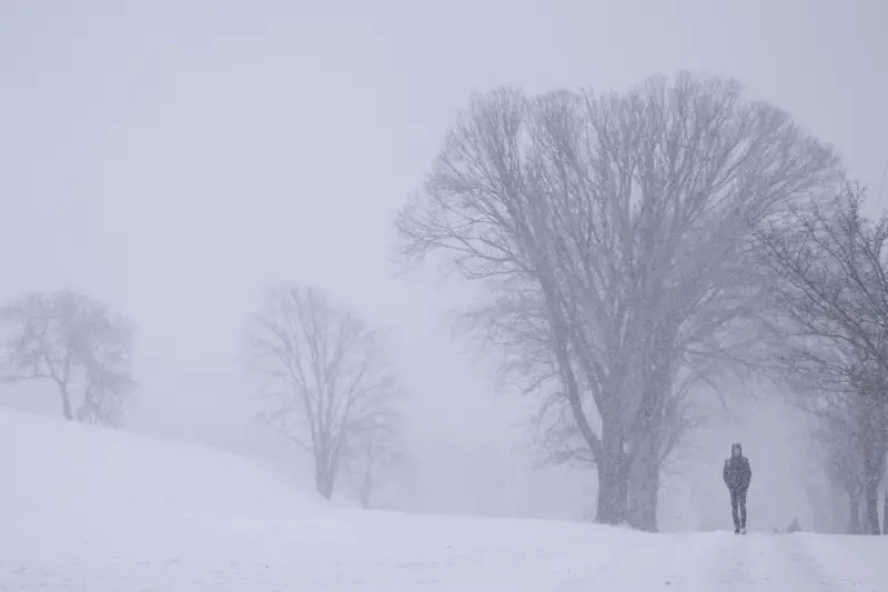 Blizzards, Snow Squalls, Extreme Cold: Widespread Weather Warnings Across Canada