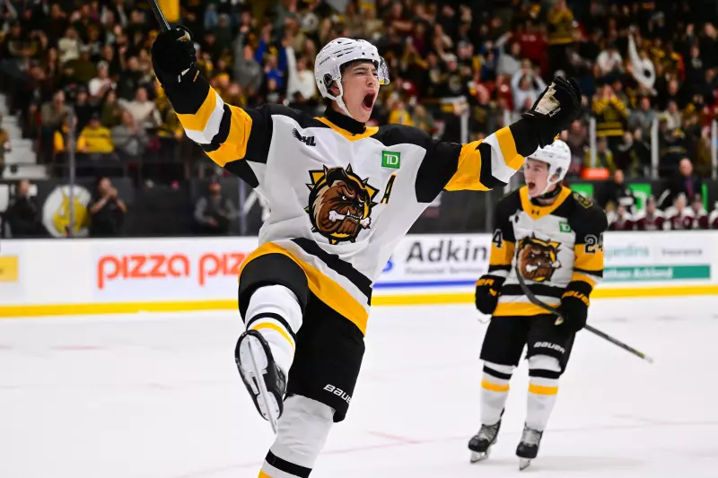 Brantford Bulldogs, Guelph Storm, Kitchener Rangers Players Impress NHL Scouts