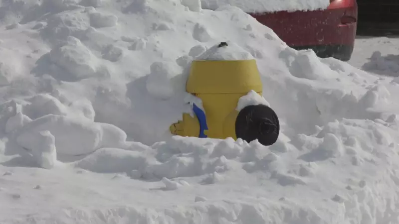 Buried Fire Hydrants Pose Winter Safety Risks: Why Snow-Covered Infrastructure Matters