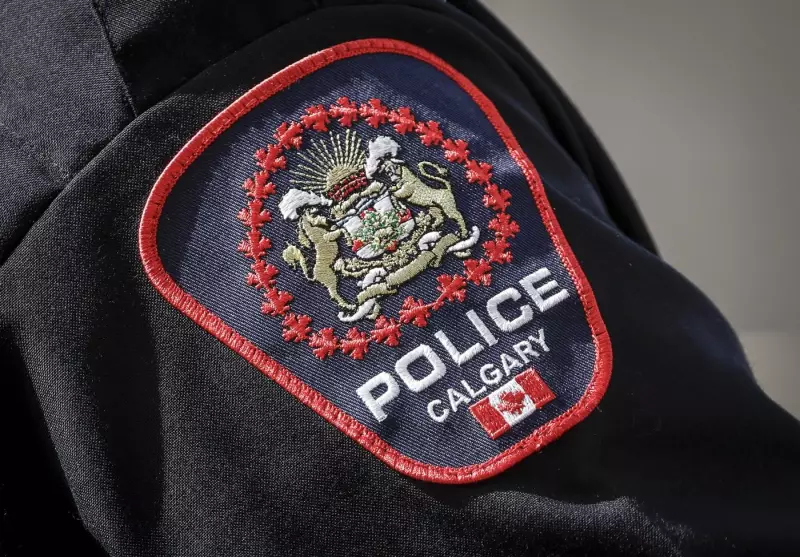Calgary Police Charge Three Teens in Pellet Gun, Bat, and Property Damage Incidents