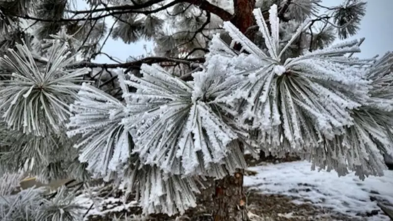 Calgary's Weekend Deep Freeze to Give Way to Warmer Temperatures Next Week