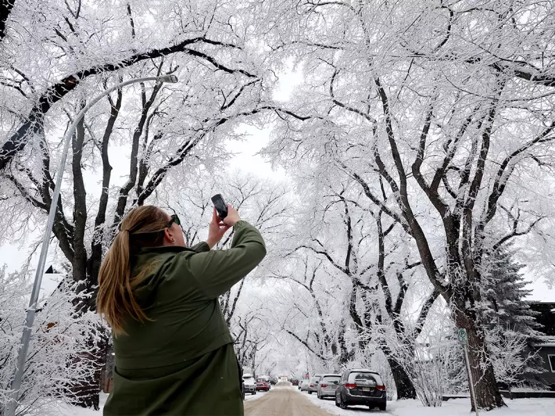 Calgary's Weekend in Focus: Outdoor Rinks, Flames Action & Winter's Frosty Grip