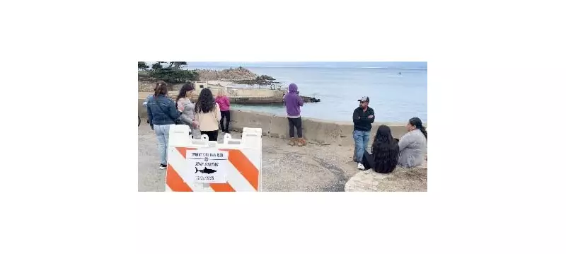 California Coroner Confirms Swimmer Died in Monterey Bay Shark Attack