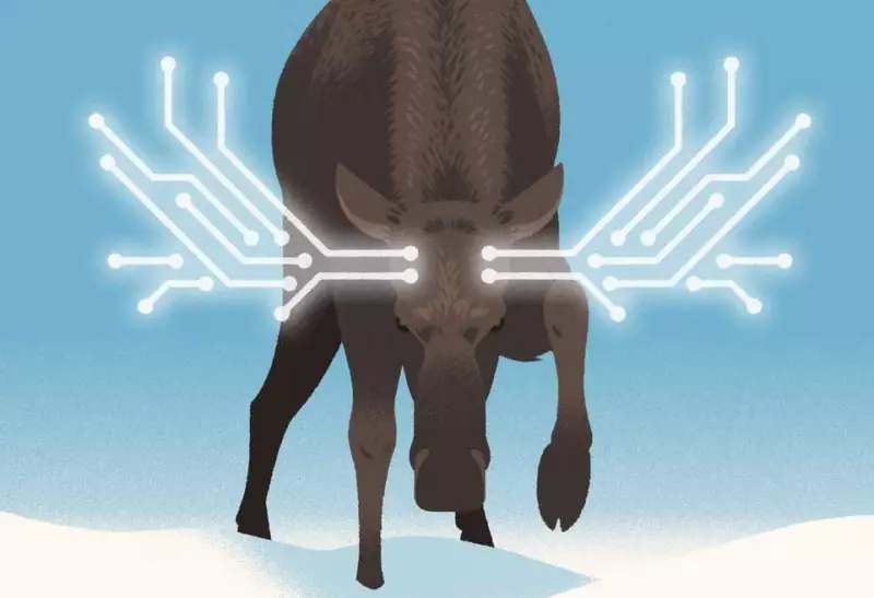 Canada's Cybersecurity Turning Point: Why 2026 Defines Digital Trust and National Resilience