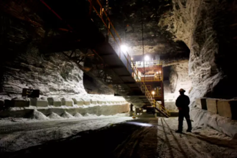 Canadian Road Salt Exported to U.S. Amid Ontario Municipal Shortages