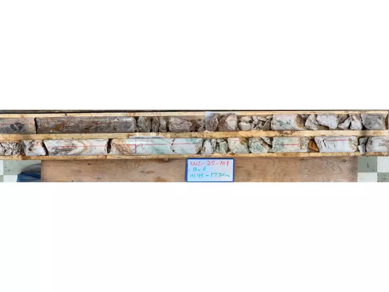 Canterra Minerals Hits High-Grade Gold in Newfoundland: 10.89 g/t Over 31.5 Metres