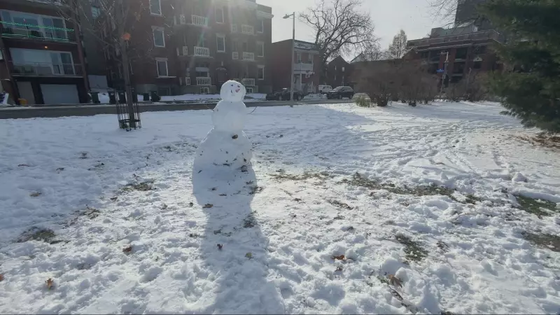 Chilly Sunday Expected in Ottawa as 2026 Brings Fare Hikes and Winter Weather