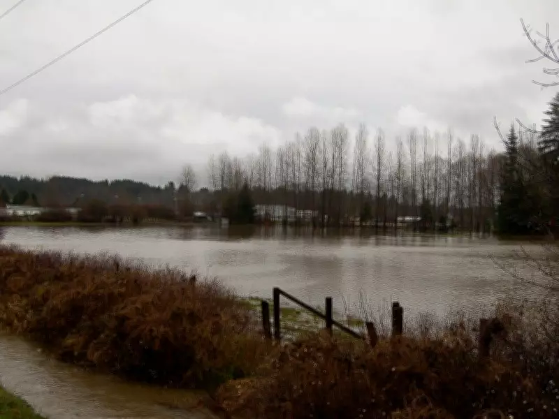 Comox Valley Declares Emergency as Flooding Forces Evacuations on Vancouver Island