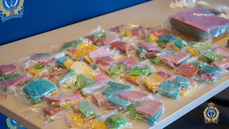 Crown Stays Drug Charges Against Former U of R Rams Player Michael Jourdan in Regina