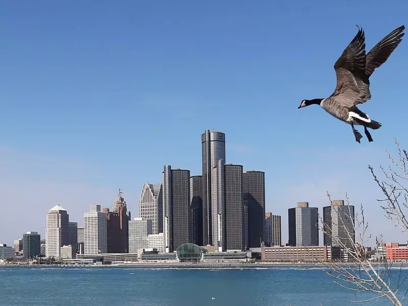 Dan Janisse's Top Windsor Star Feature Photos of 2025: A Visual Journey